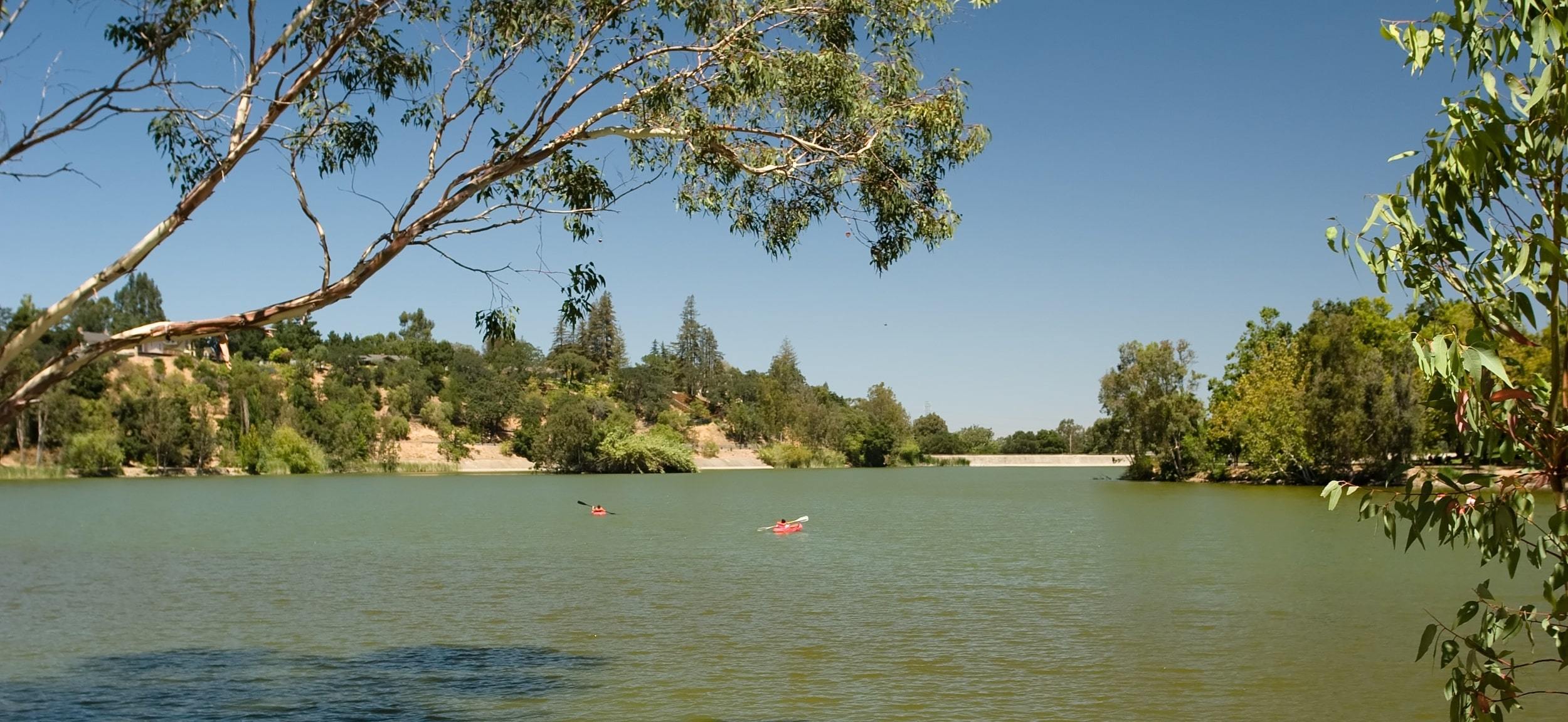 People swimming in Vasona Reservoir in Los Gatos, CA